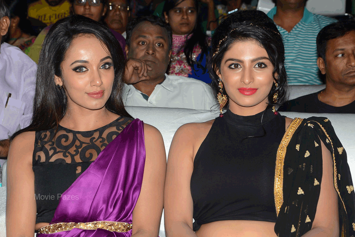 rojulu-marayi-audio-launch